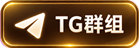 TG群组